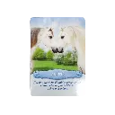 communiquer-avec-les-chevaux-coffret (2).webp