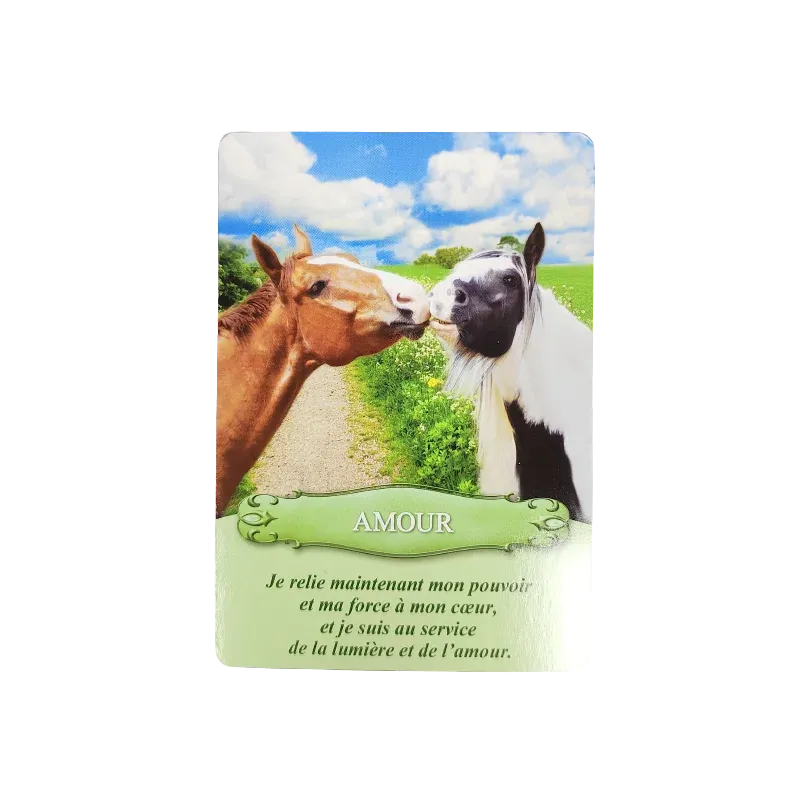 communiquer-avec-les-chevaux-coffret (3).webp