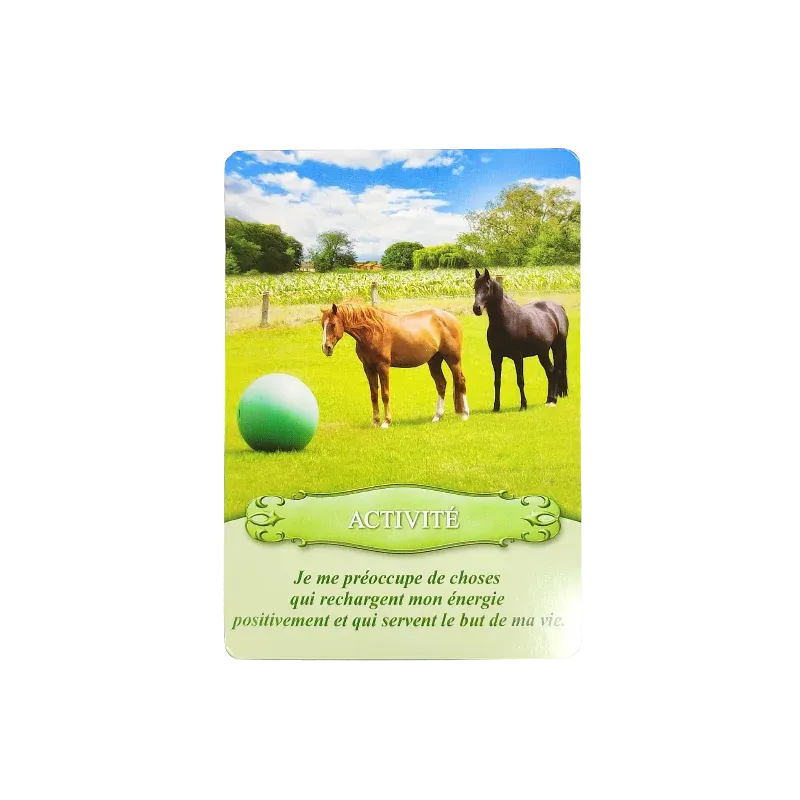 communiquer-avec-les-chevaux-coffret (1).webp