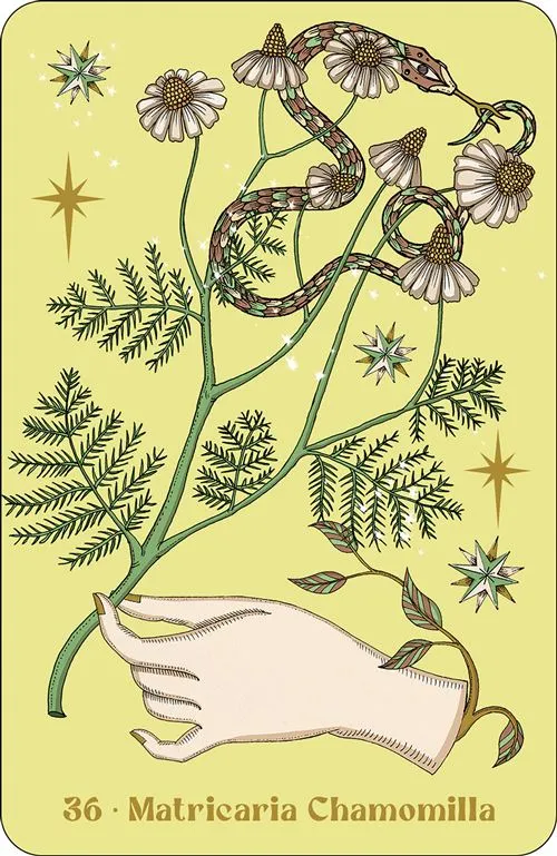 Herbarium-oracle (7).webp