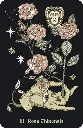 Herbarium-oracle (4).webp