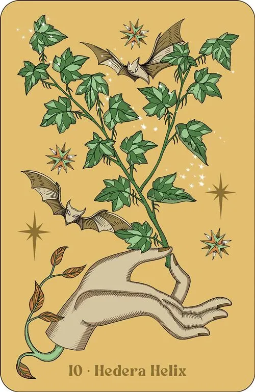 Herbarium-oracle (2).webp