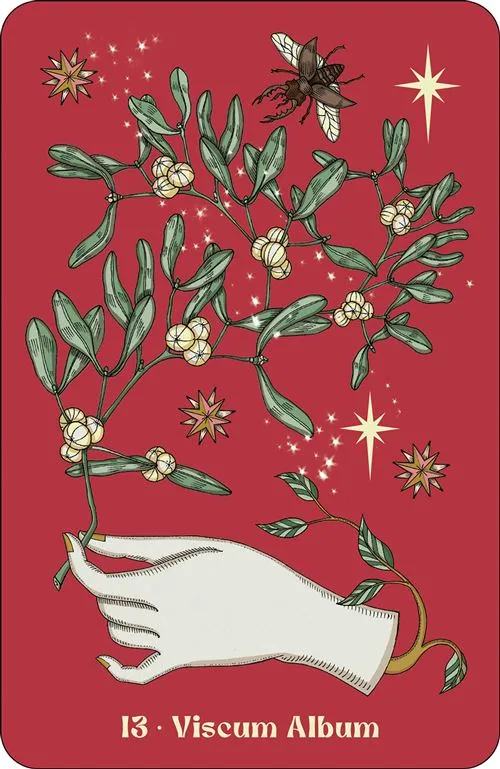 Herbarium-oracle (3).webp