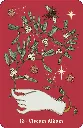 Herbarium-oracle (3).webp