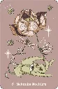 Herbarium-oracle (1).webp