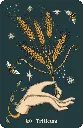 Herbarium-oracle (5).webp