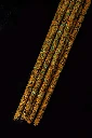 7293-4.webp