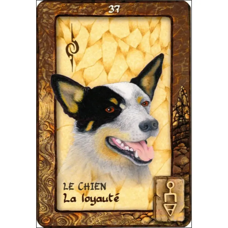 rever-de-votre-animal-totem-scott-alexander-king (3).webp