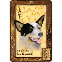 rever-de-votre-animal-totem-scott-alexander-king (3).webp