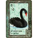 rever-de-votre-animal-totem-scott-alexander-king (2).webp