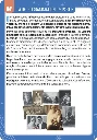 100-techniques-pour-votre-sante-et-votre-bien-etre-Des-solutions-pour-vos-problemes-physiques-emotionnels-et-psychiques5.webp