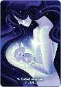 L-oracle-des-lueurs-de-l-ame3.webp