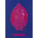 oracle-cartes-des-familles-d-ames (3).webp