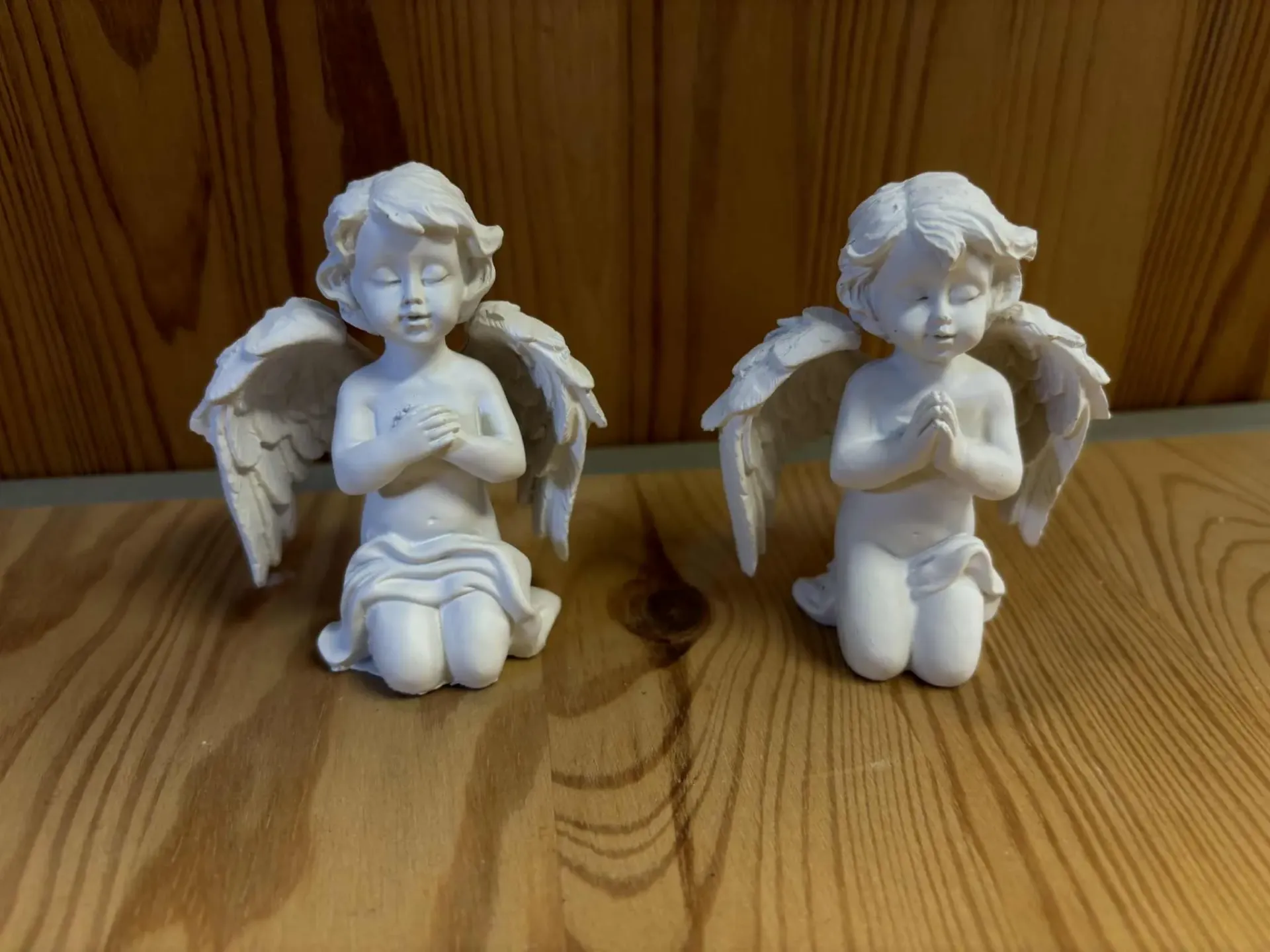 [ANG016] Ange en résine