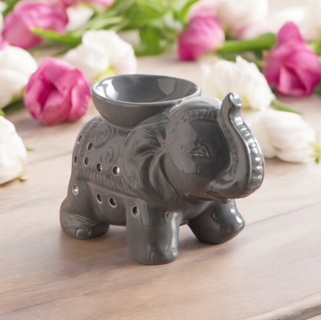 [BRU019] Brûle parfum céramique