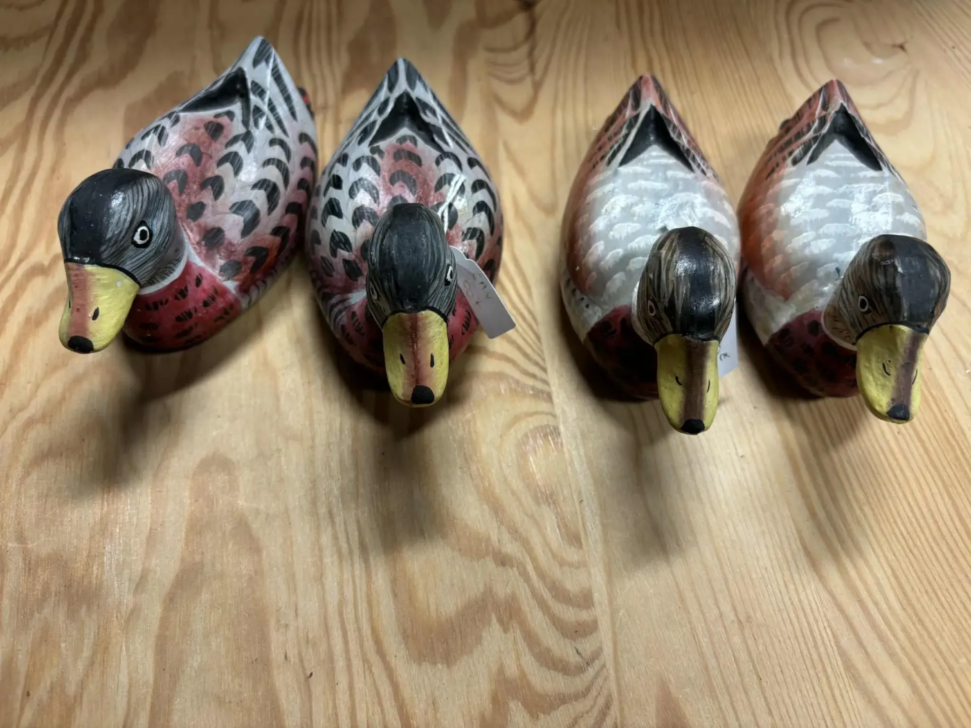 Canards mandarin moyens