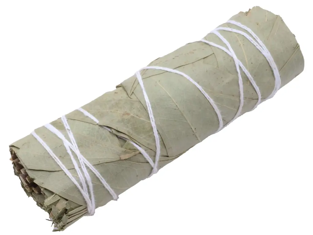 Eucalyptus Fagot 30g