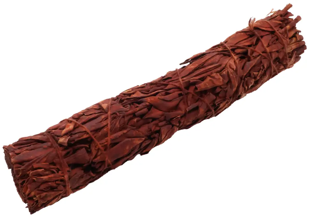 Sauge Sang de Dragon ficelle 70-80g