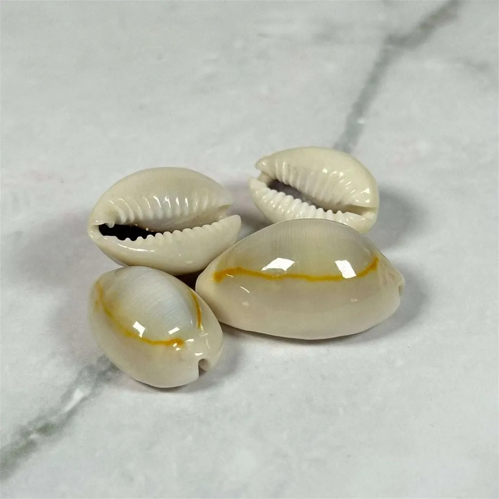 Les cauris de la chance