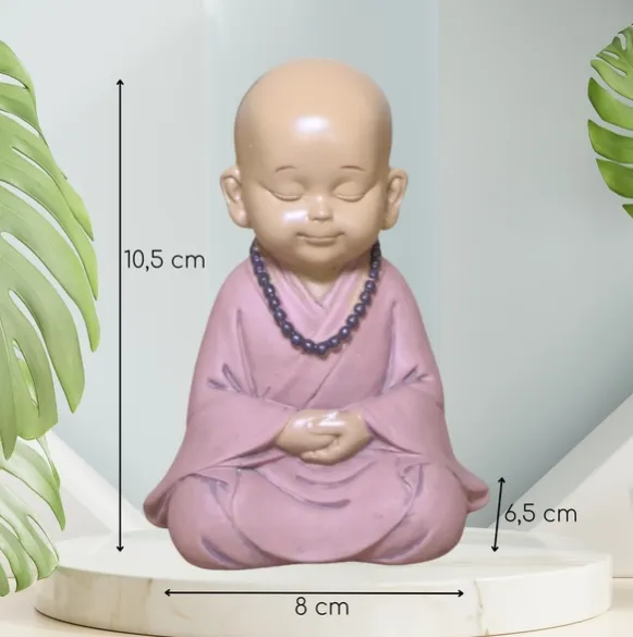 Moine Bébé Rose en Prière