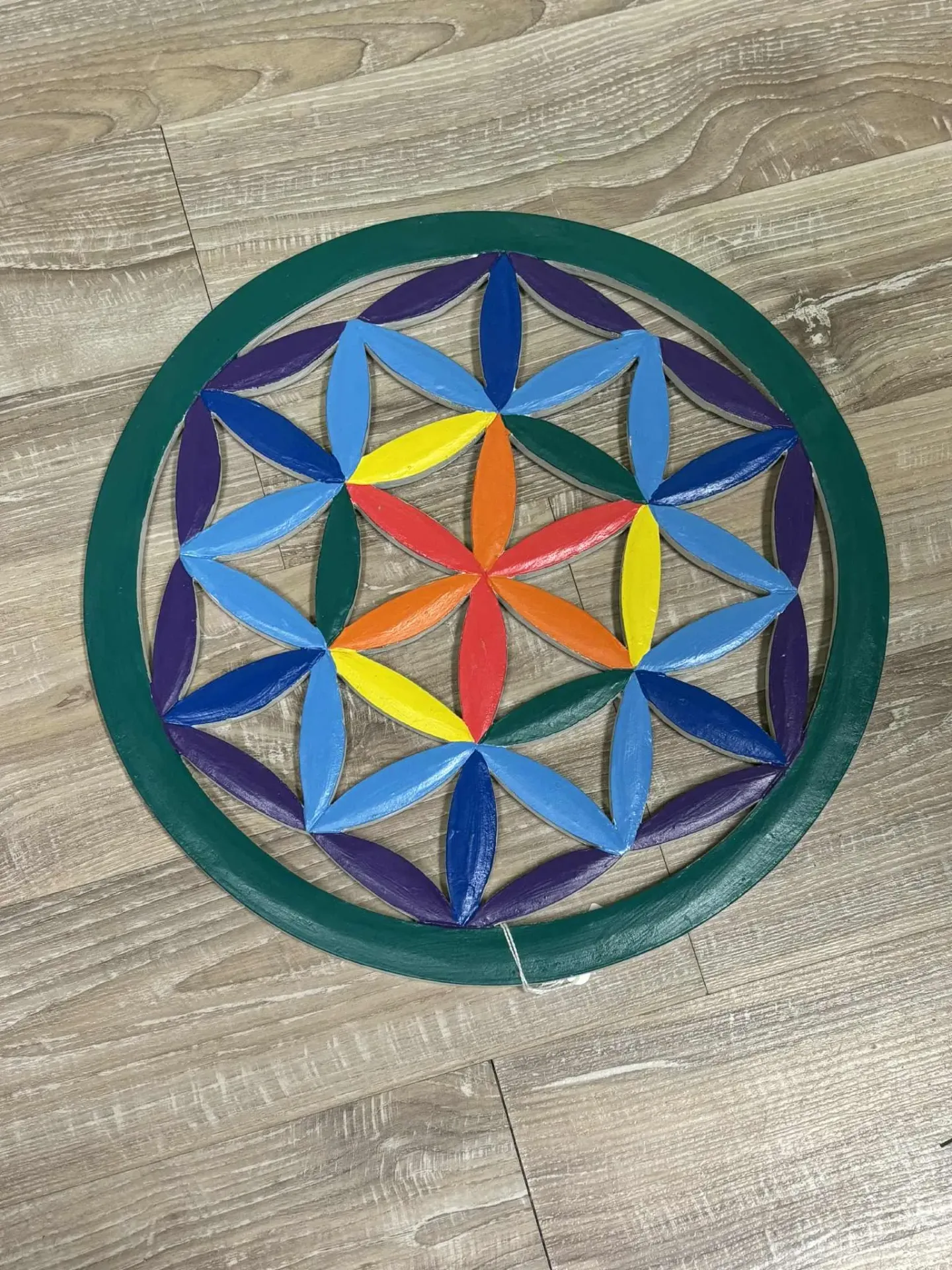 Panneaux fleurs de vie colorée