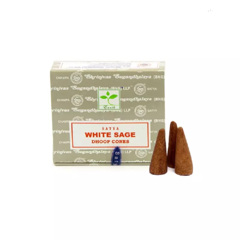 [ENCC043] Encens Sauge blanche cônes