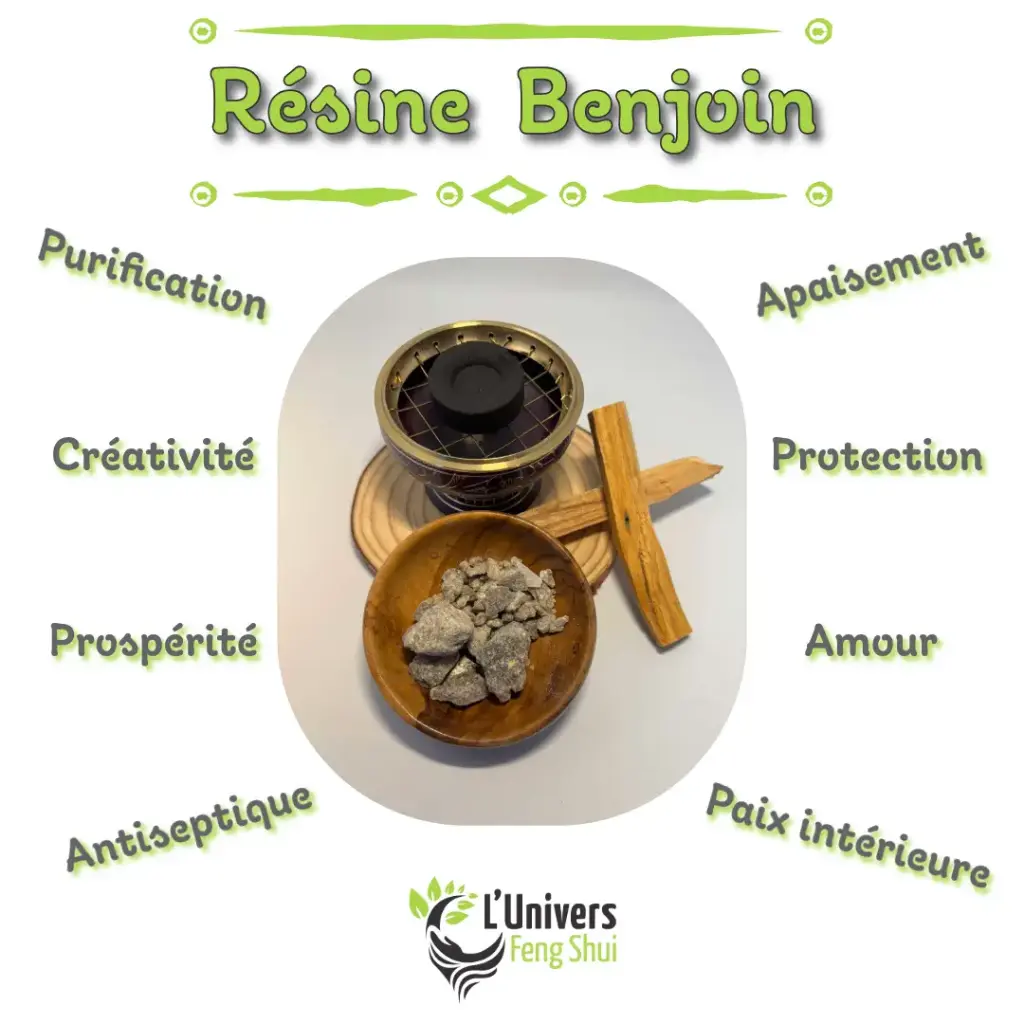 Encens résine Benjoin 20gr