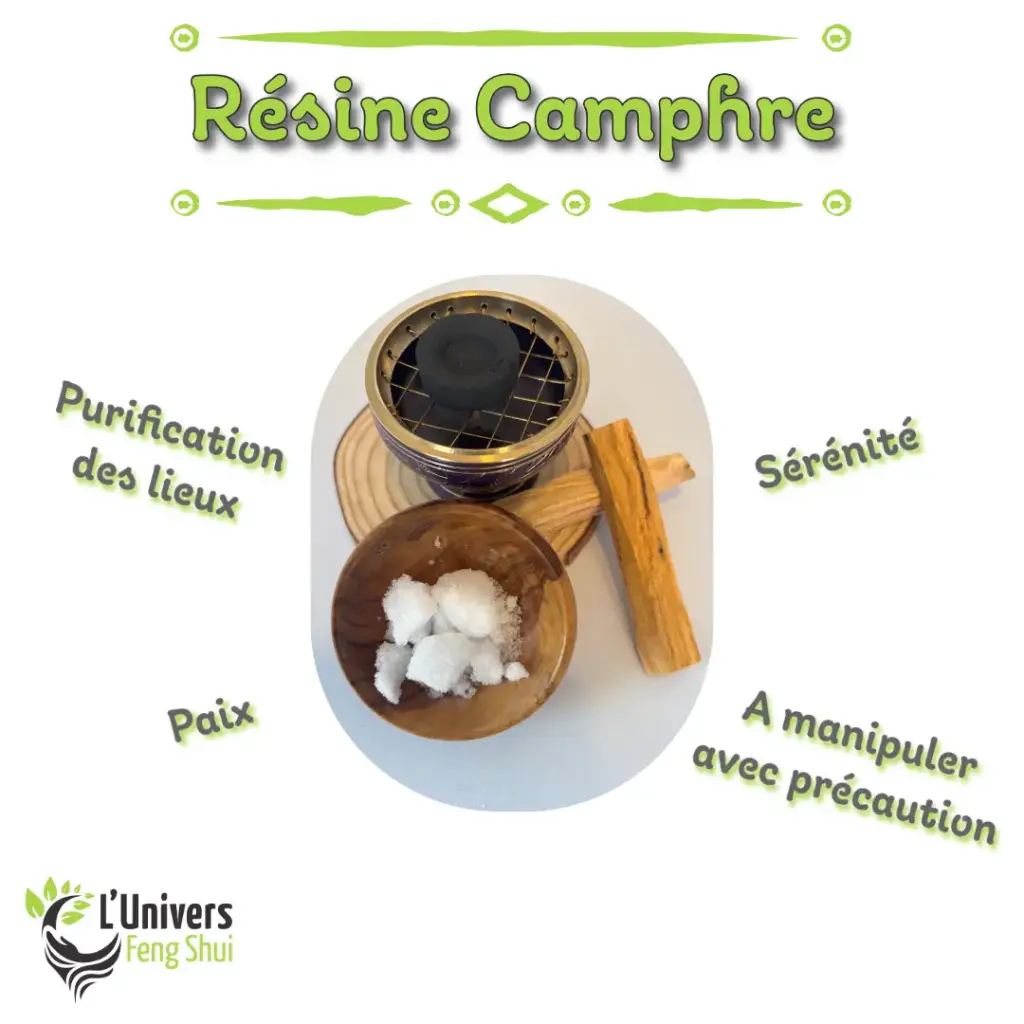 Encens résine camphre 10gr