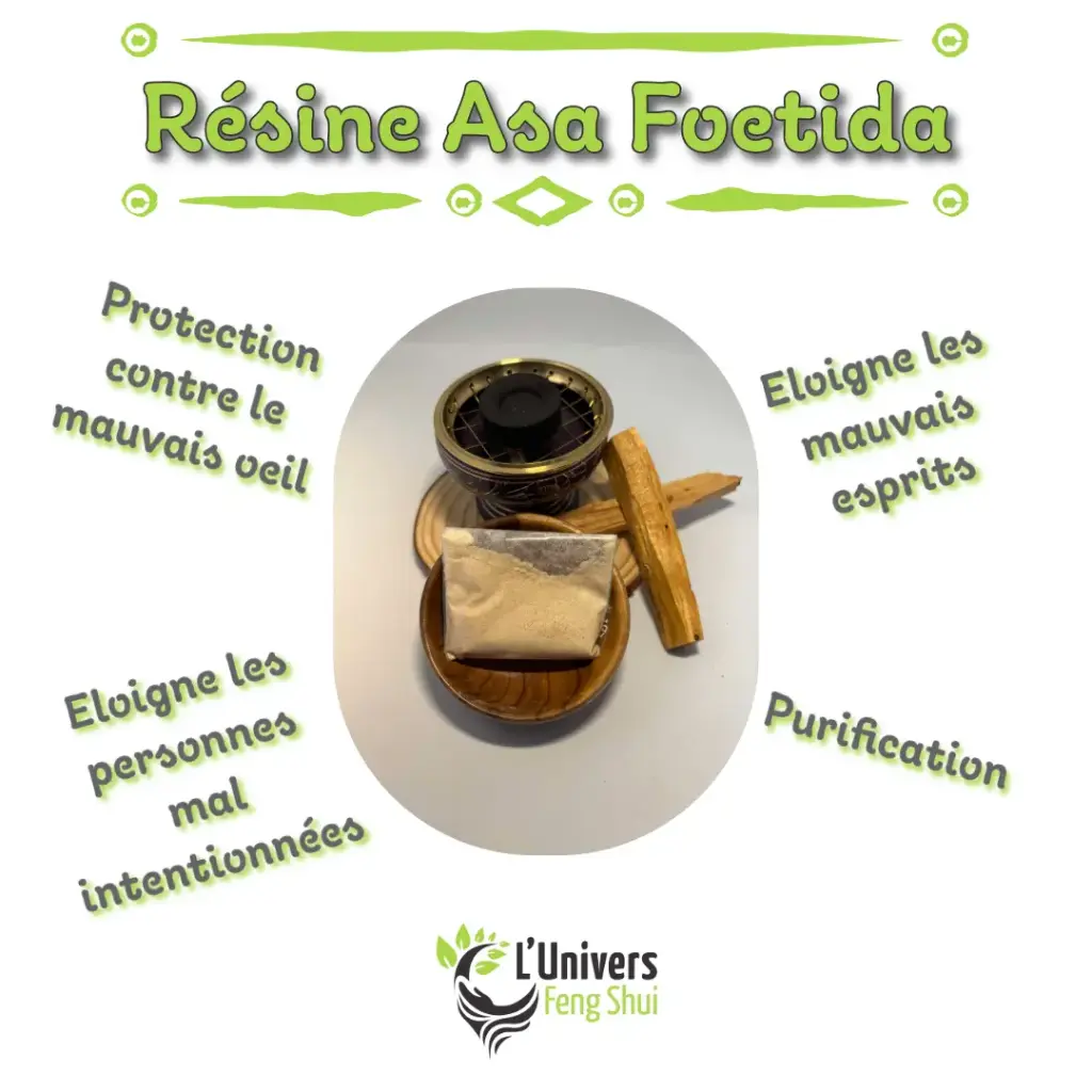 Encens résine Asa Foetida poudre
