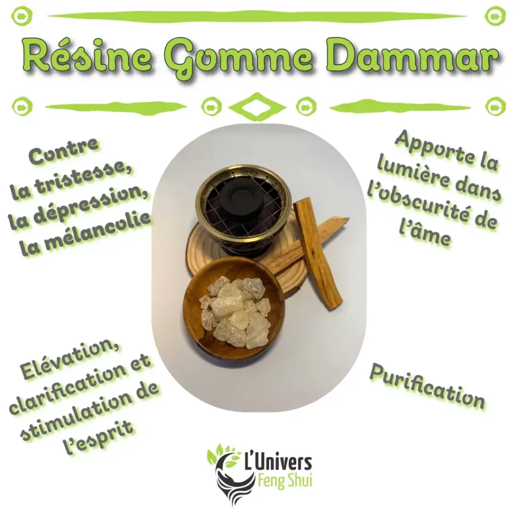 Encens résine Gomme Damar