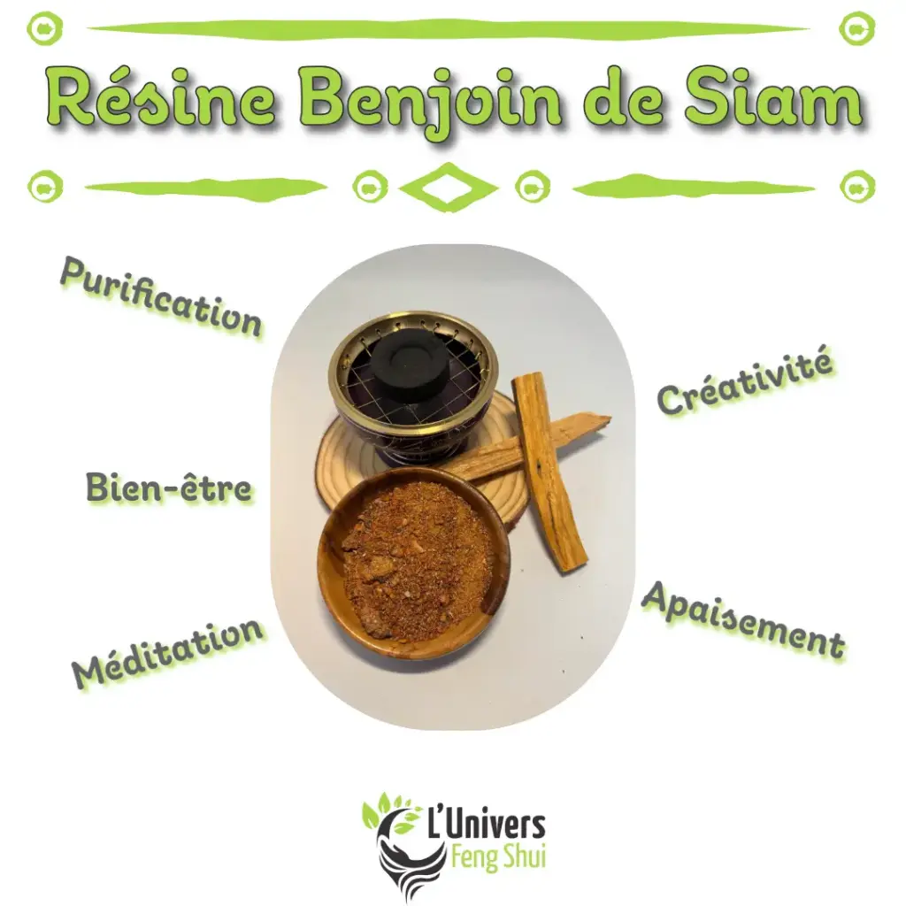 Encens résine Benjoin de Siam