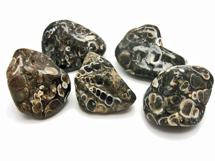 [MIN00010] Agate Turitelle roulée