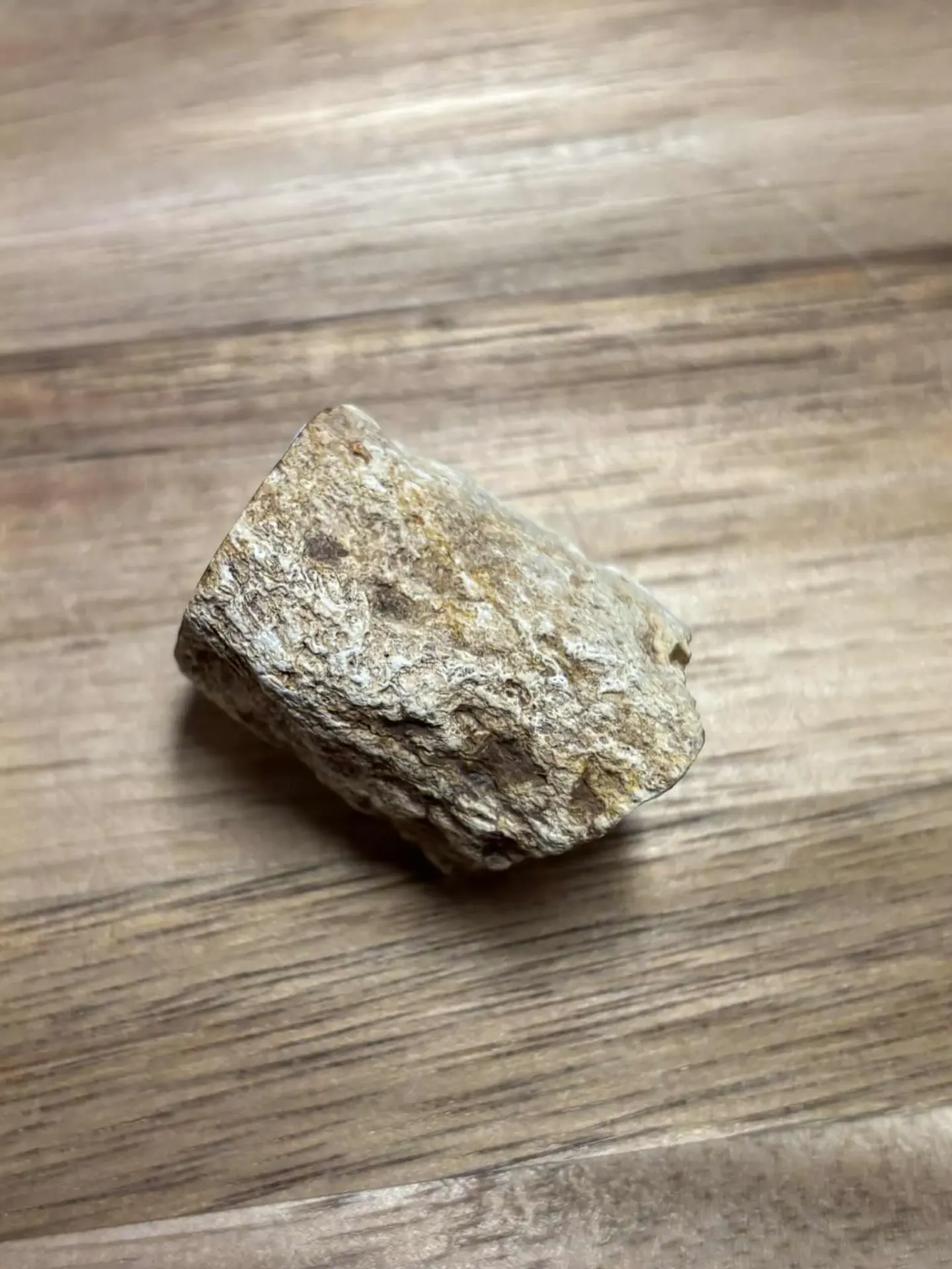 [MIN00300] Bois fossile brut