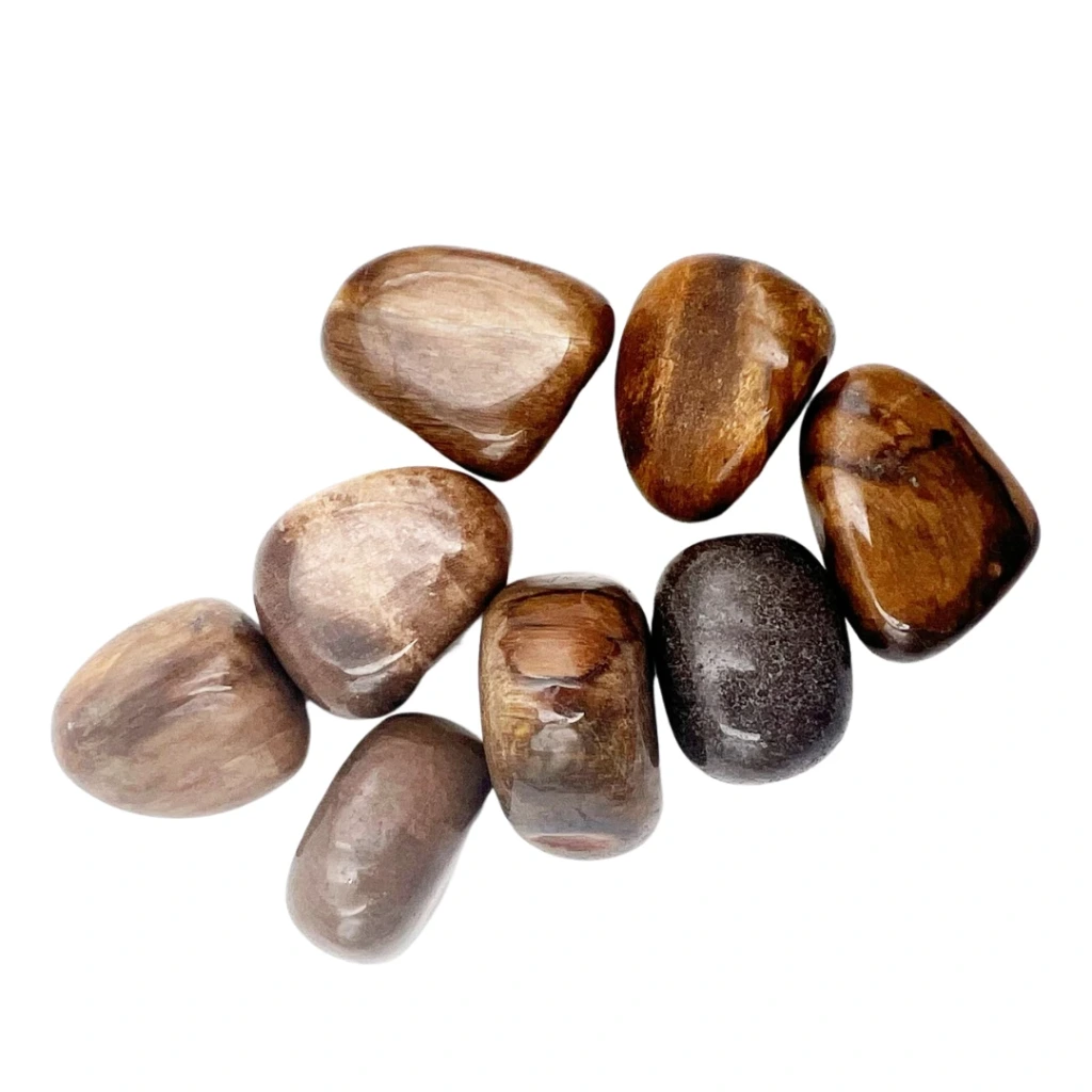 [MIN00043] Bois fossilisé roulé