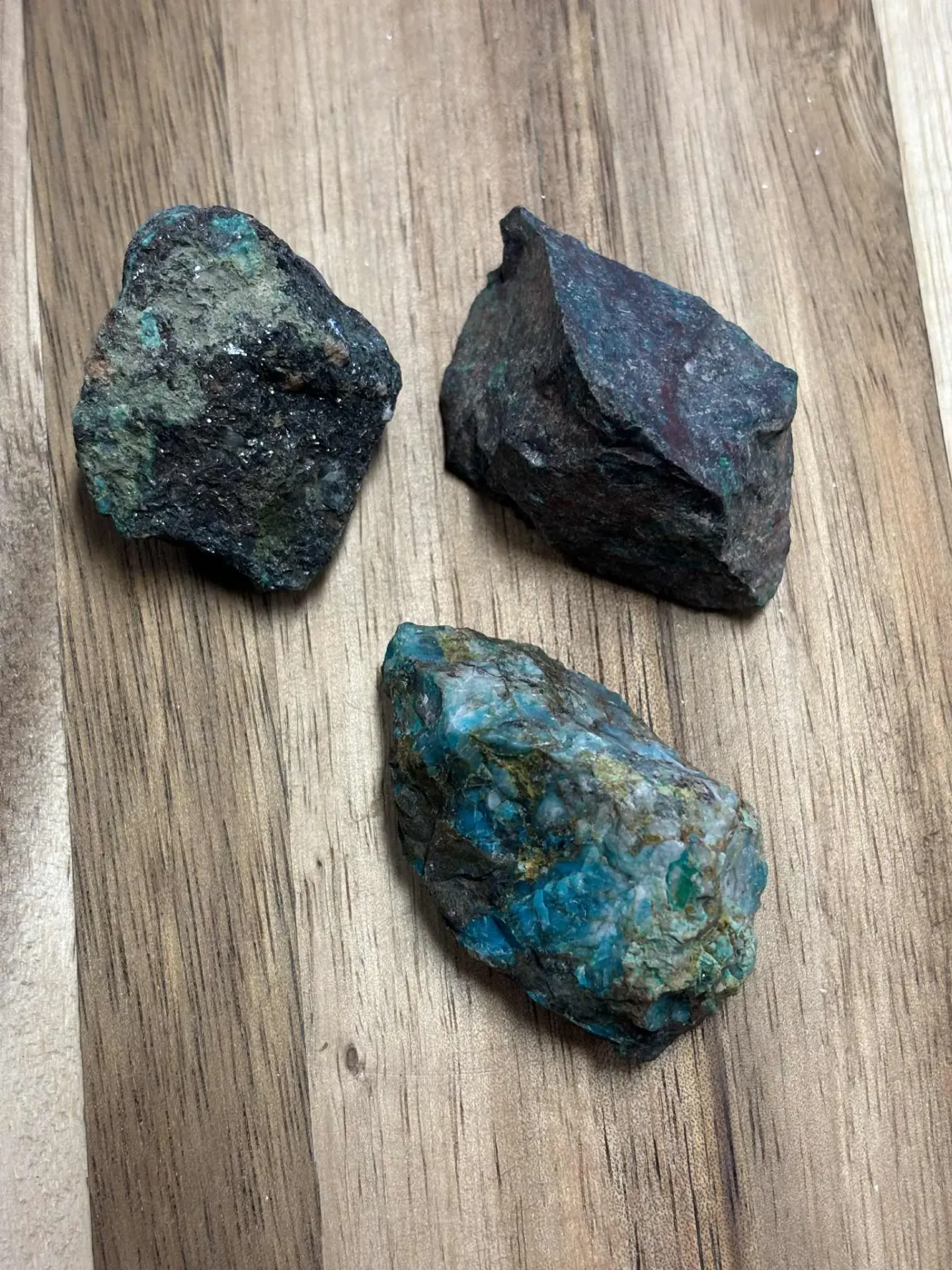 Chrysocolle brute