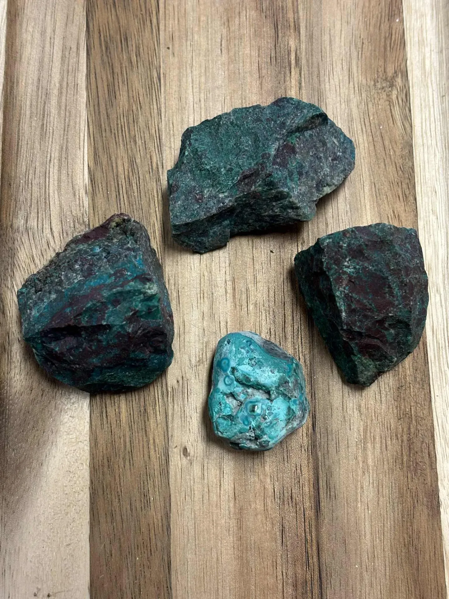 Chrysocolle brute