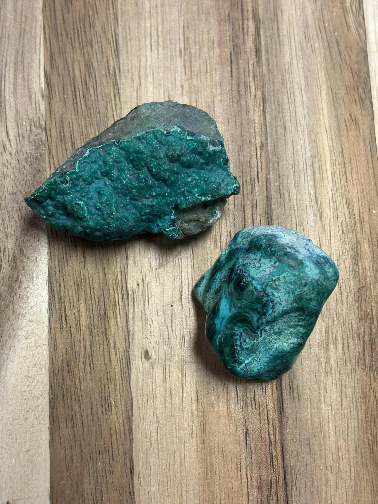 Chrysocolle brute