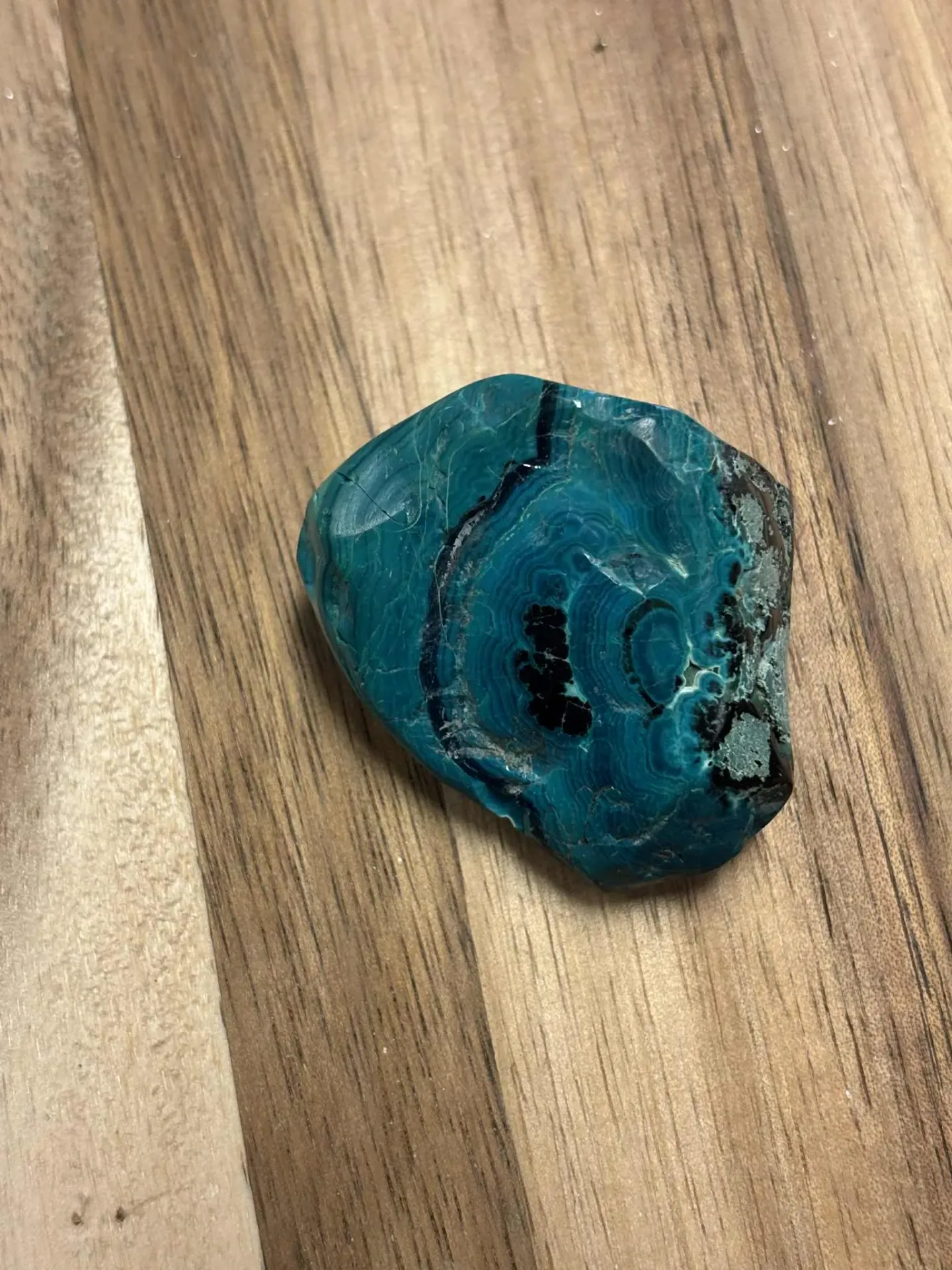Chrysocolle brute