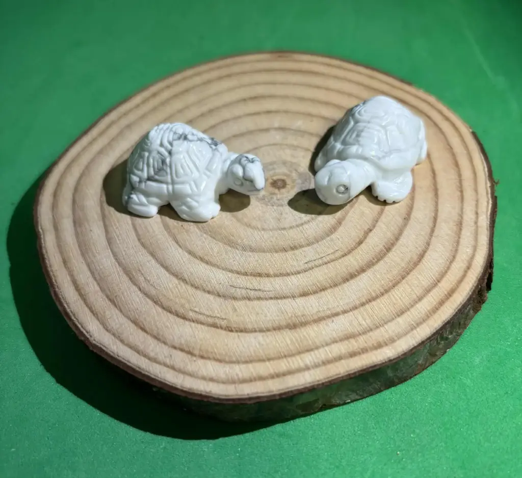 Howlite Tortue 