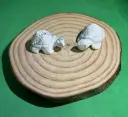 Howlite Tortue 