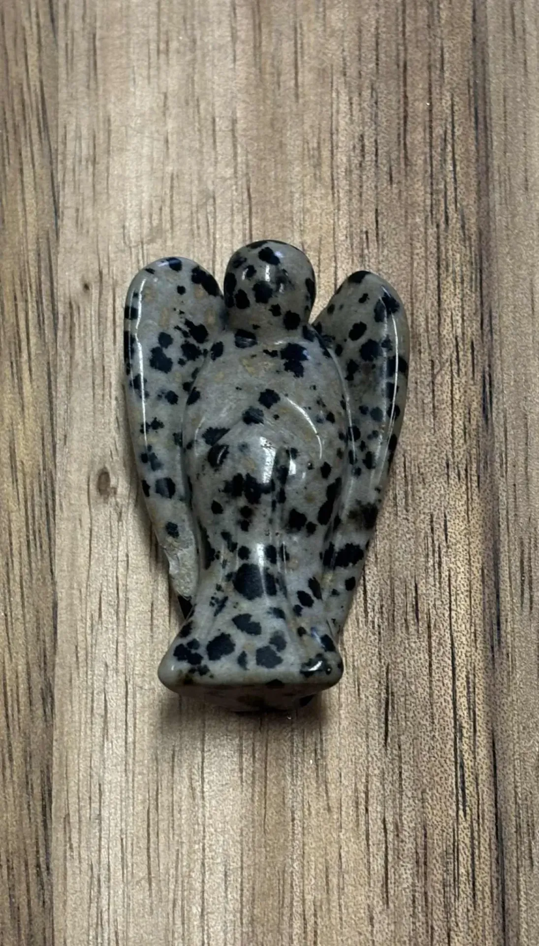 Jaspe dalmatien Ange