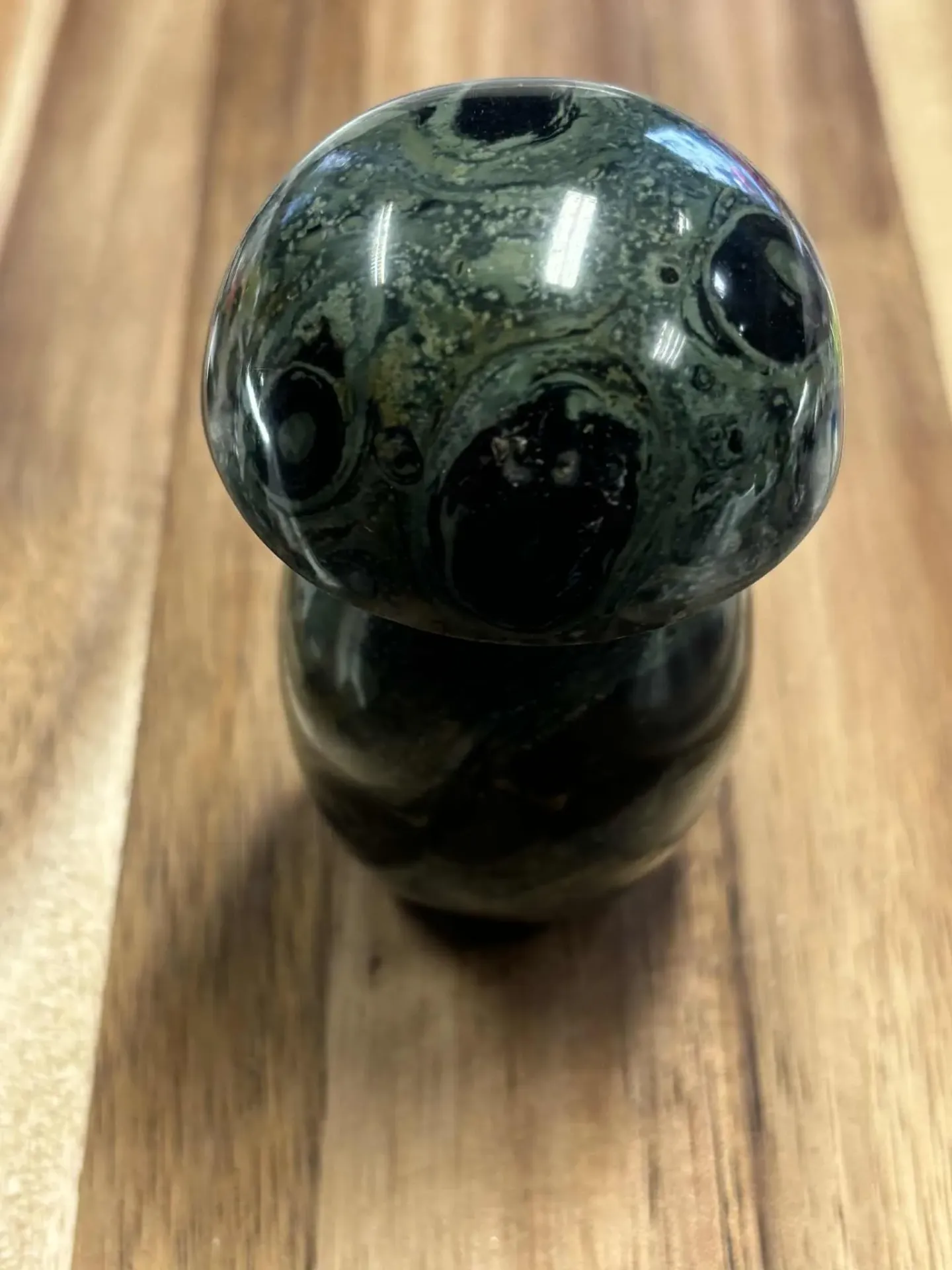 Jaspe Kambaba champignon