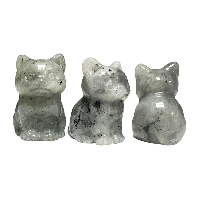 Labradorite chat