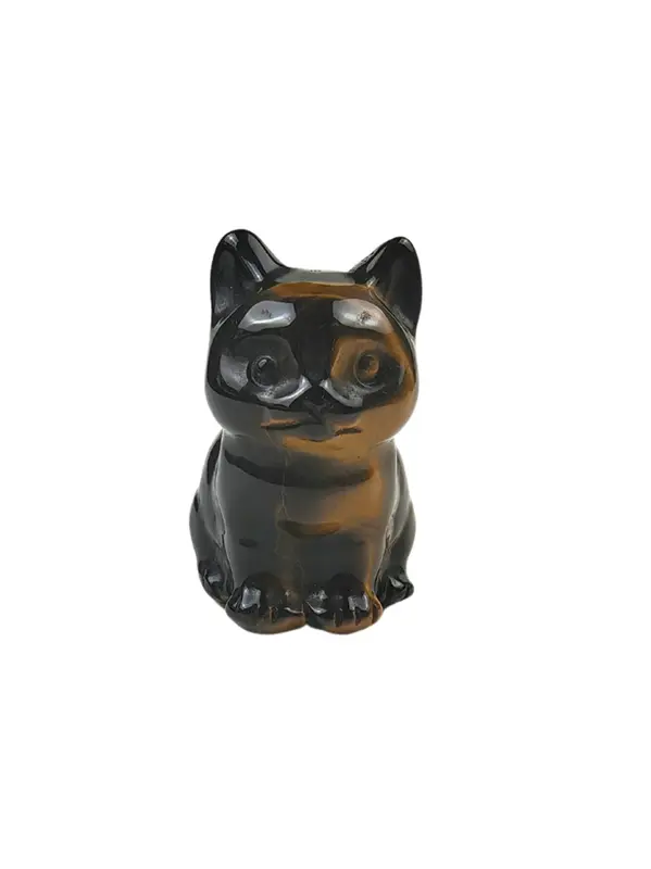 Œil de tigre chat