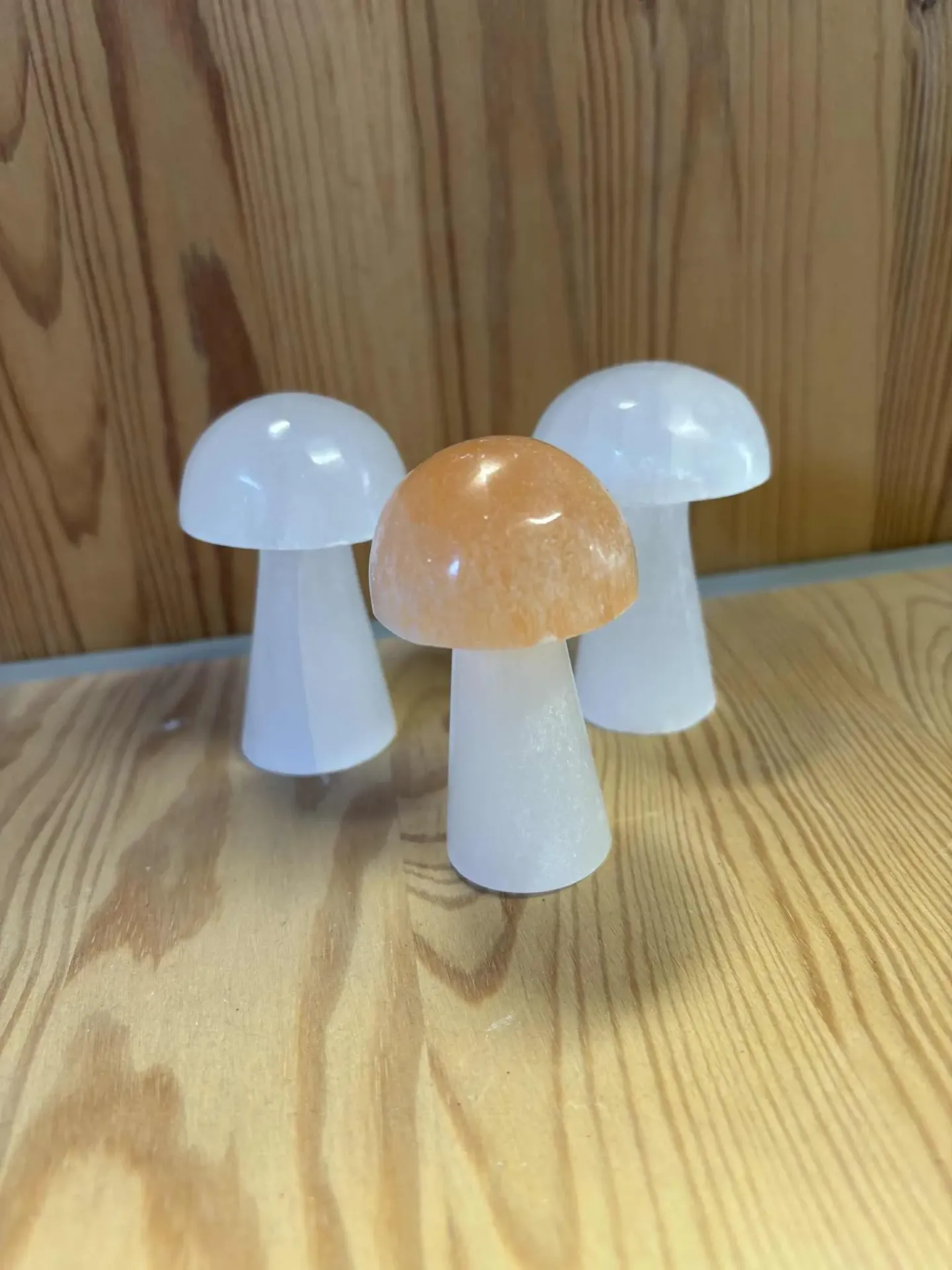 Sélénite champignon