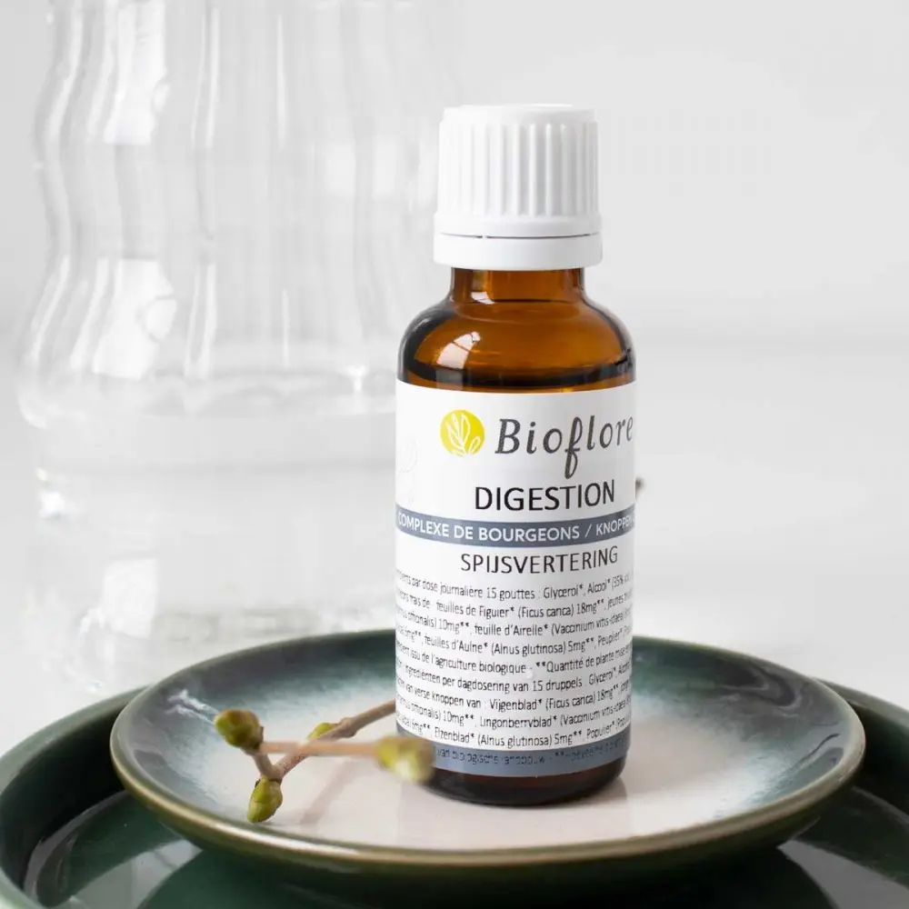 Complexe de bourgeons Digestion