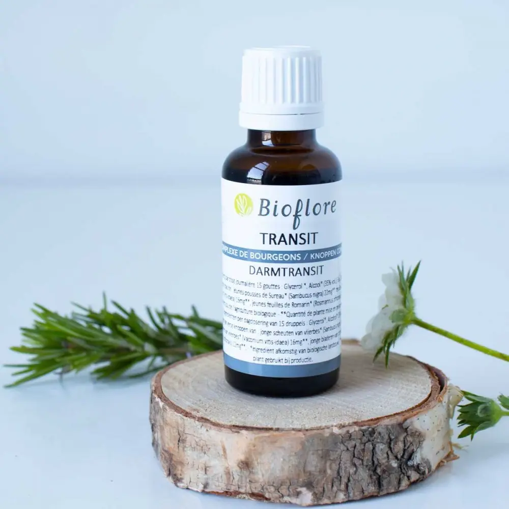 [GEM008] Complexe de bourgeons Transit