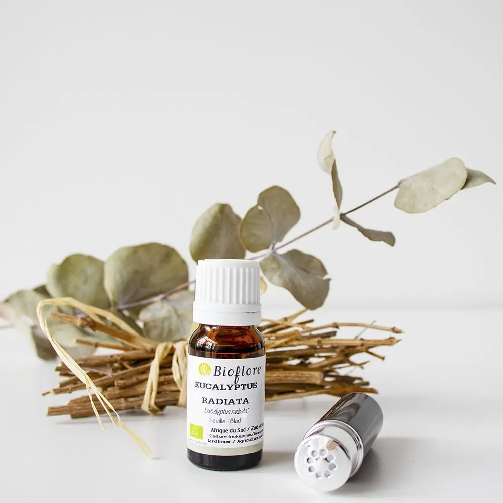 Huile essentielle d'Eucalyptus radié 10ml