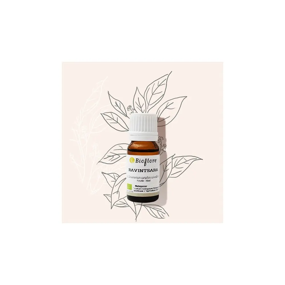 Huile essentielle Ravintsara 10ml