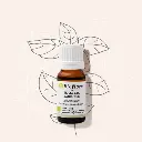Huile essentielle de Basilic exotique 10ml